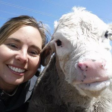 Heather McKnelly with one of her cattle