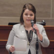 Rep. Hannah Kelly, foster care