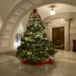 Capitol Christmas tree 1