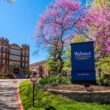Webster University
